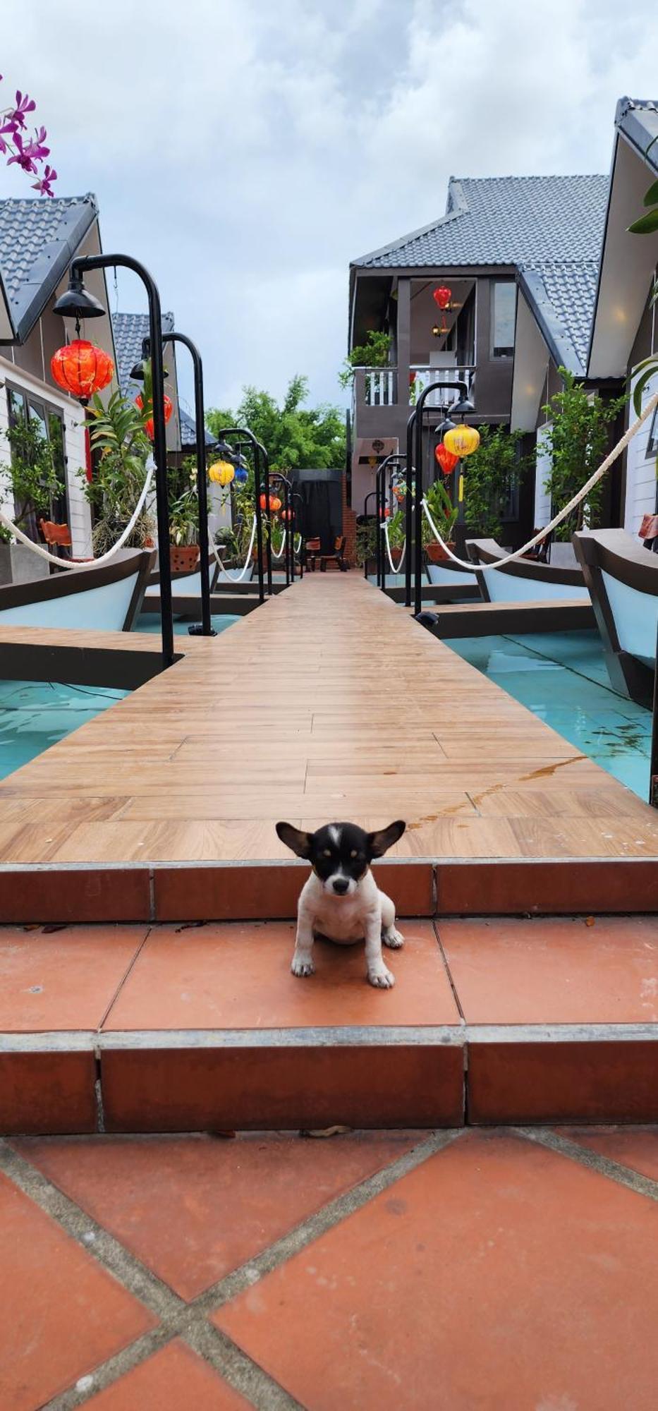 Coco Bungalows 会安 外观 照片